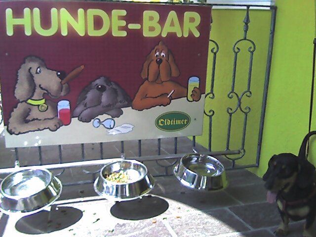 photo4.jpg